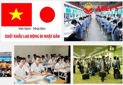 Top 3 công ty xuất khẩu lao động Nhật Bản uy tín tại Hà Nội